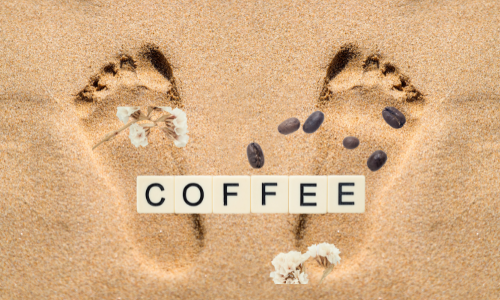 Coffee environmental footprint
